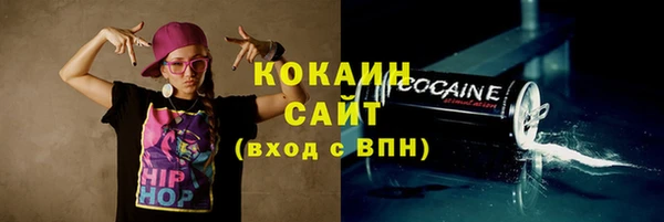 МДПВ Снежинск