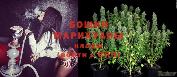 mix Белокуриха