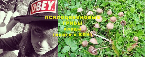 соль курить ск Беломорск