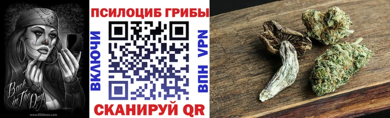 продажа наркотиков  Дагестанские Огни  Галлюциногенные грибы прущие грибы 